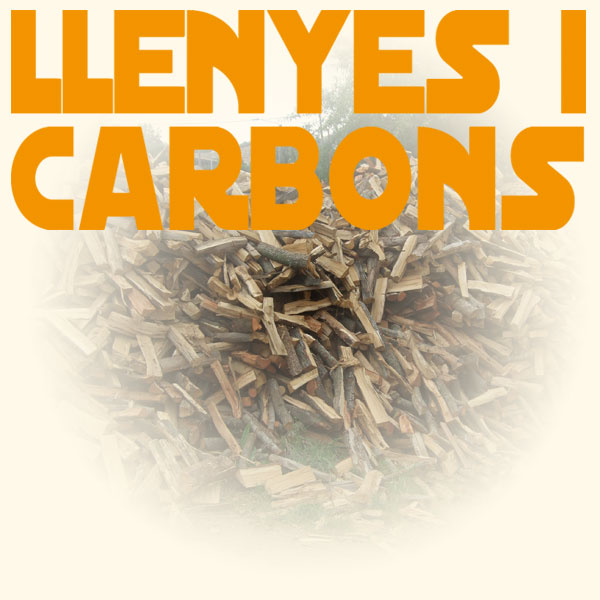 LLENYES I CARBONS 2012, S.L.